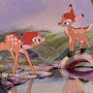 Meet your Posher, Eden